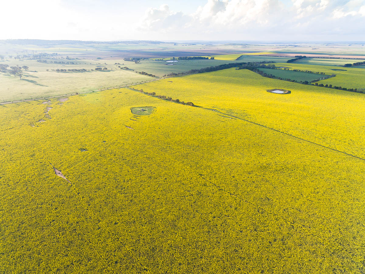 South Coast-DJI_0017-3000 x 2248