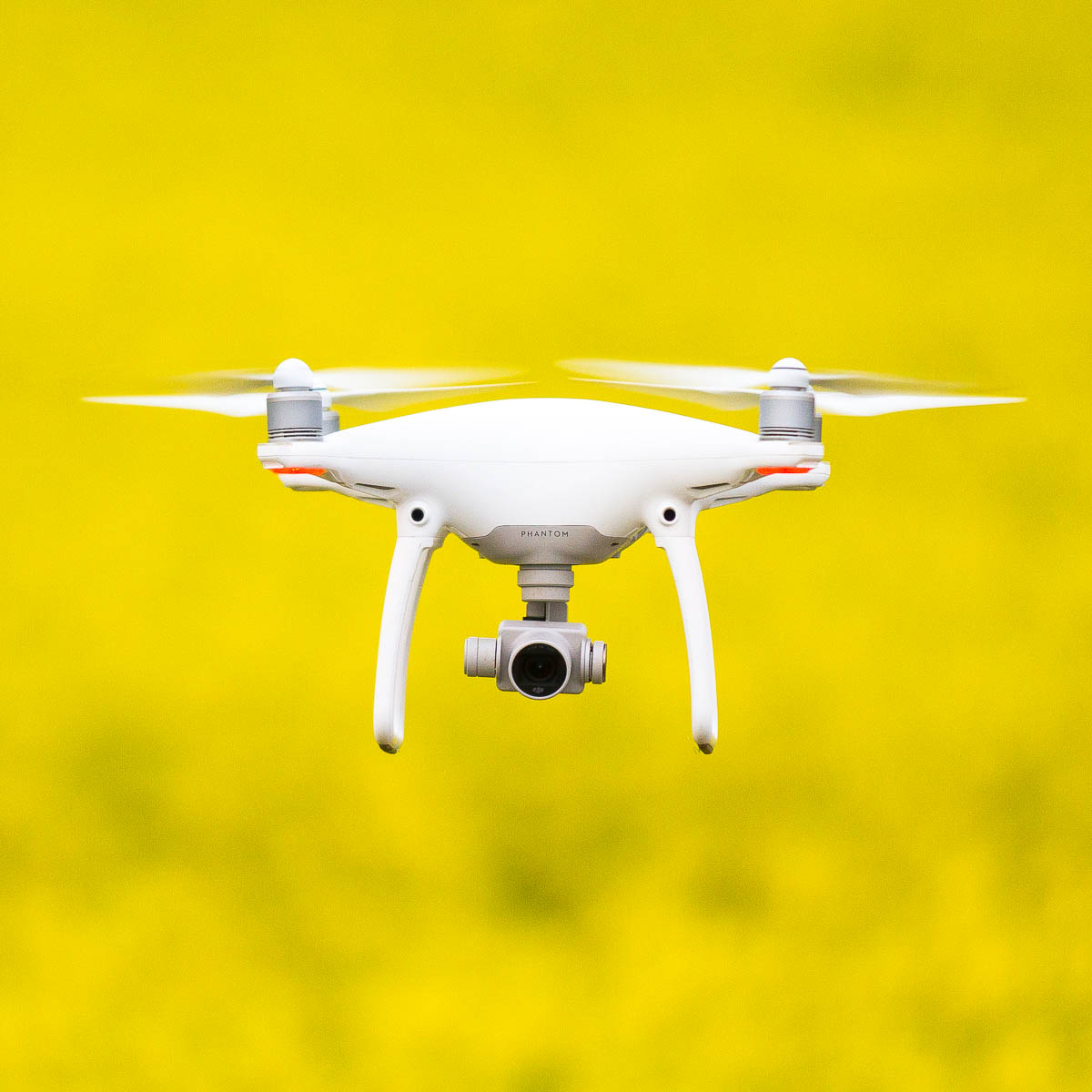 South Coast-IMG_2795-2318 x 2318