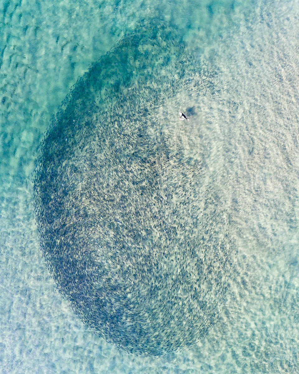 Magenta Shores-DJI_0132 1-960 x 1200