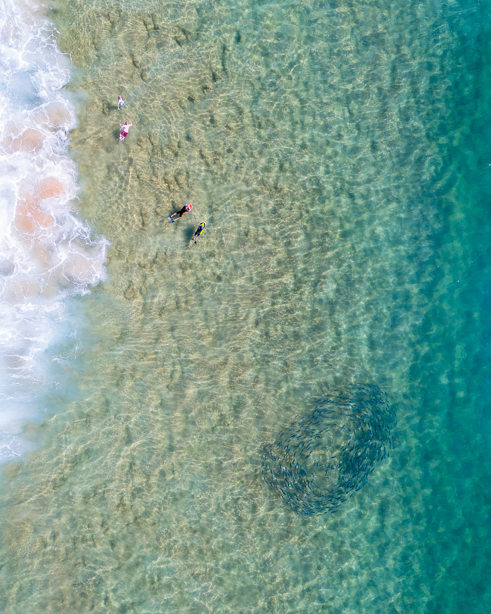 Avoca-DJI_0005 1-2400 x 3000