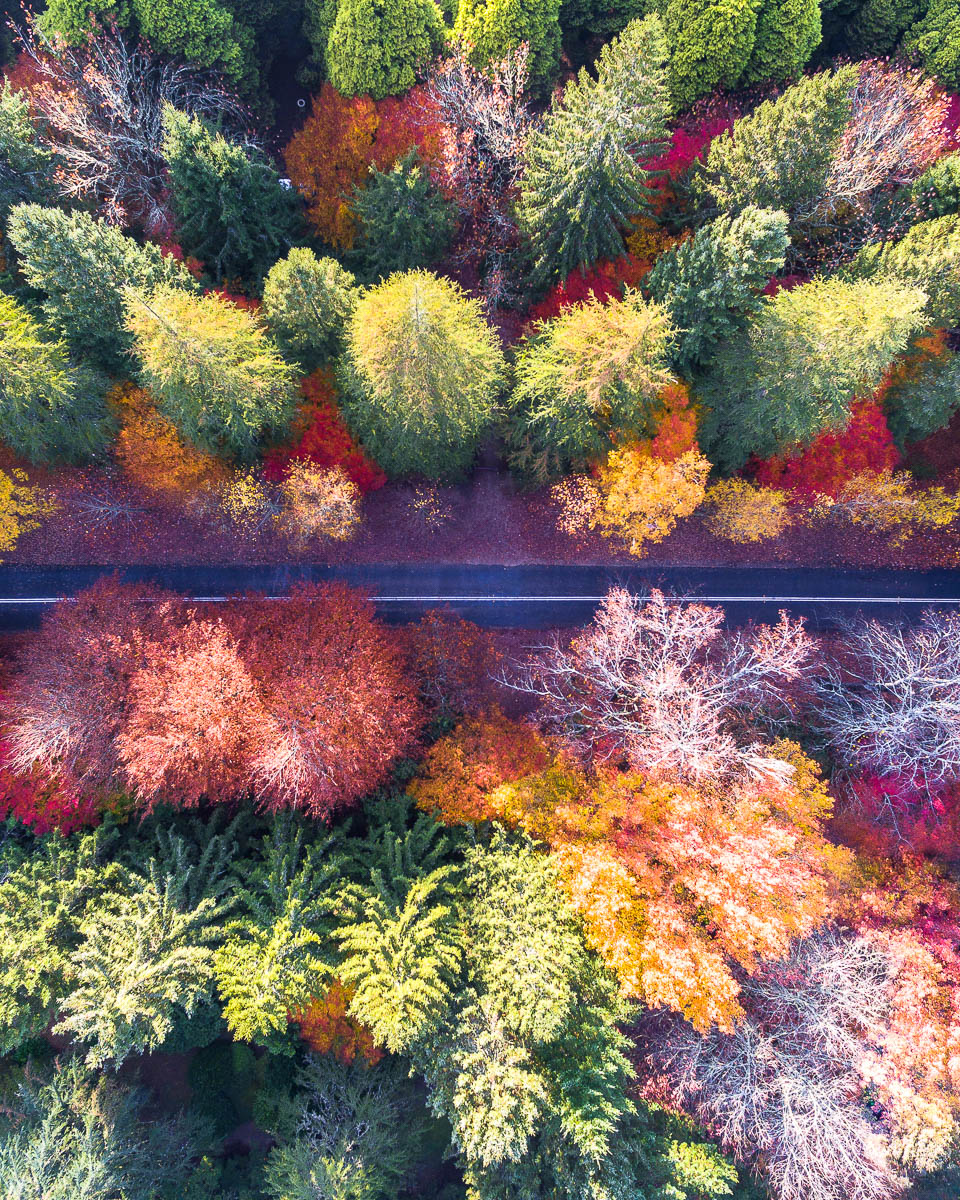 Blue Mountains-DJI_0044 5-2897 x 3621