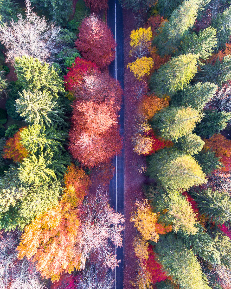 Blue Mountains-DJI_0045 3-2895 x 3619