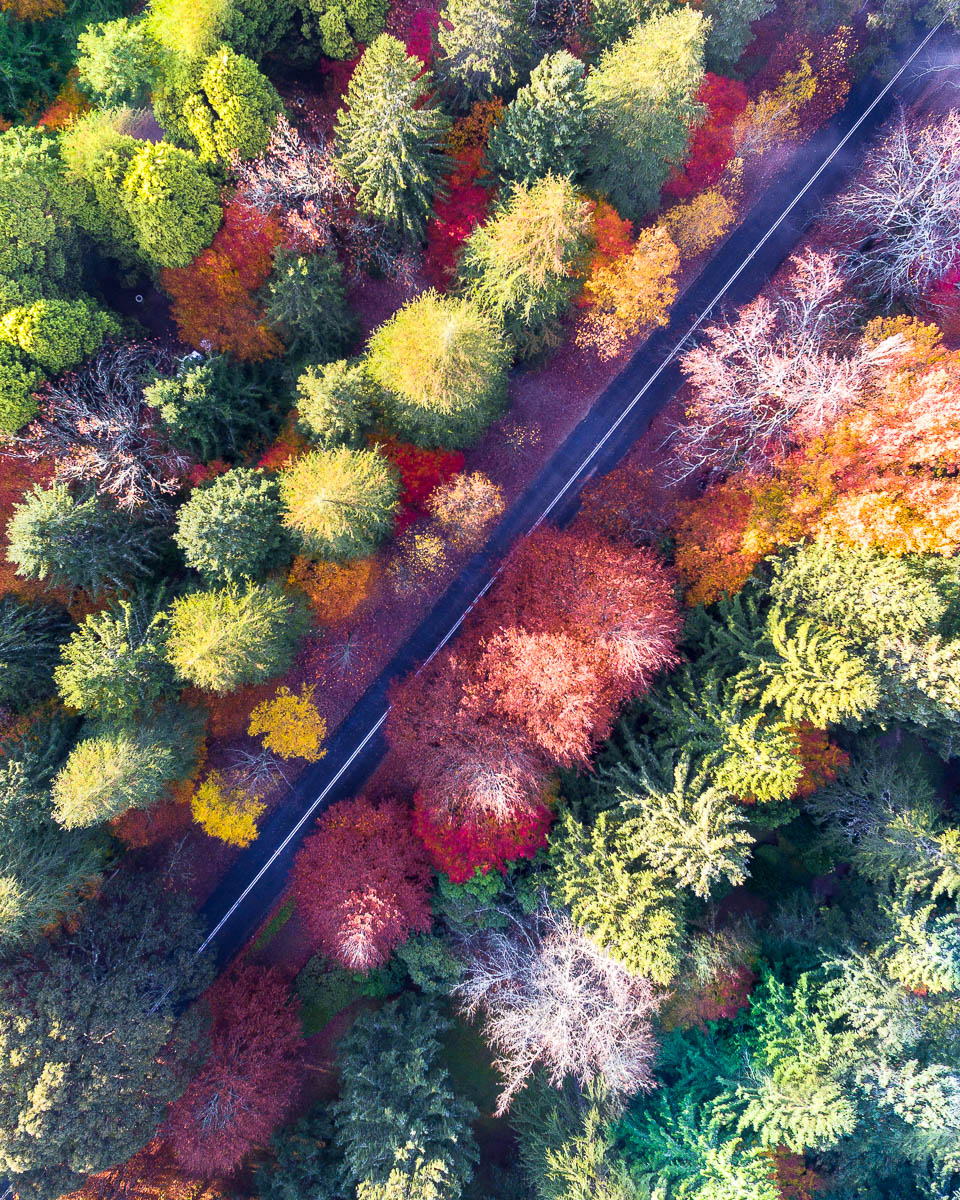 Blue Mountains-DJI_0046 3-2635 x 3294