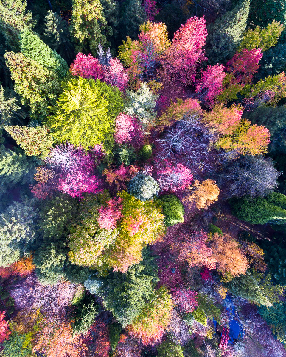 Blue Mountains-DJI_0059 3-2992 x 3740