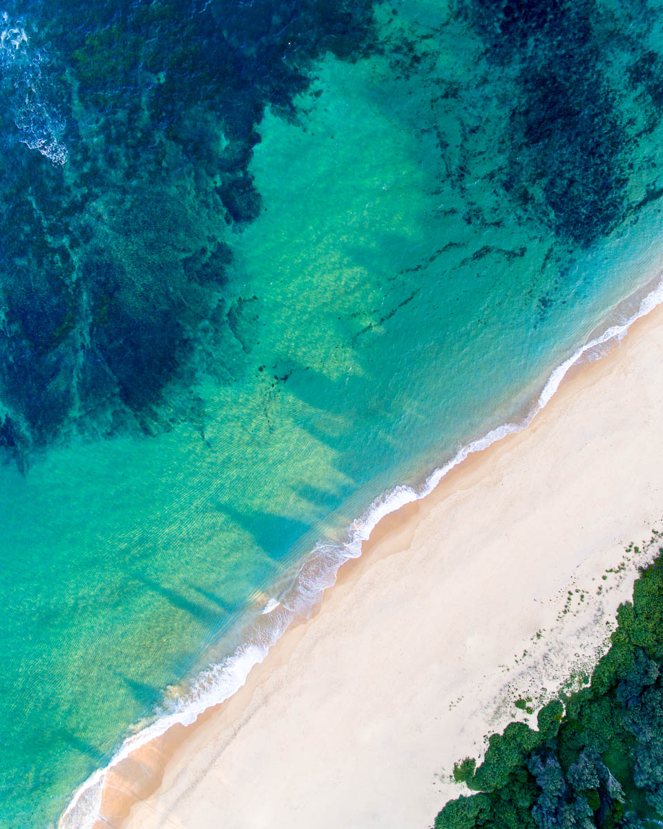 Forresters Beach-DJI_0053 6-2992 x 3740