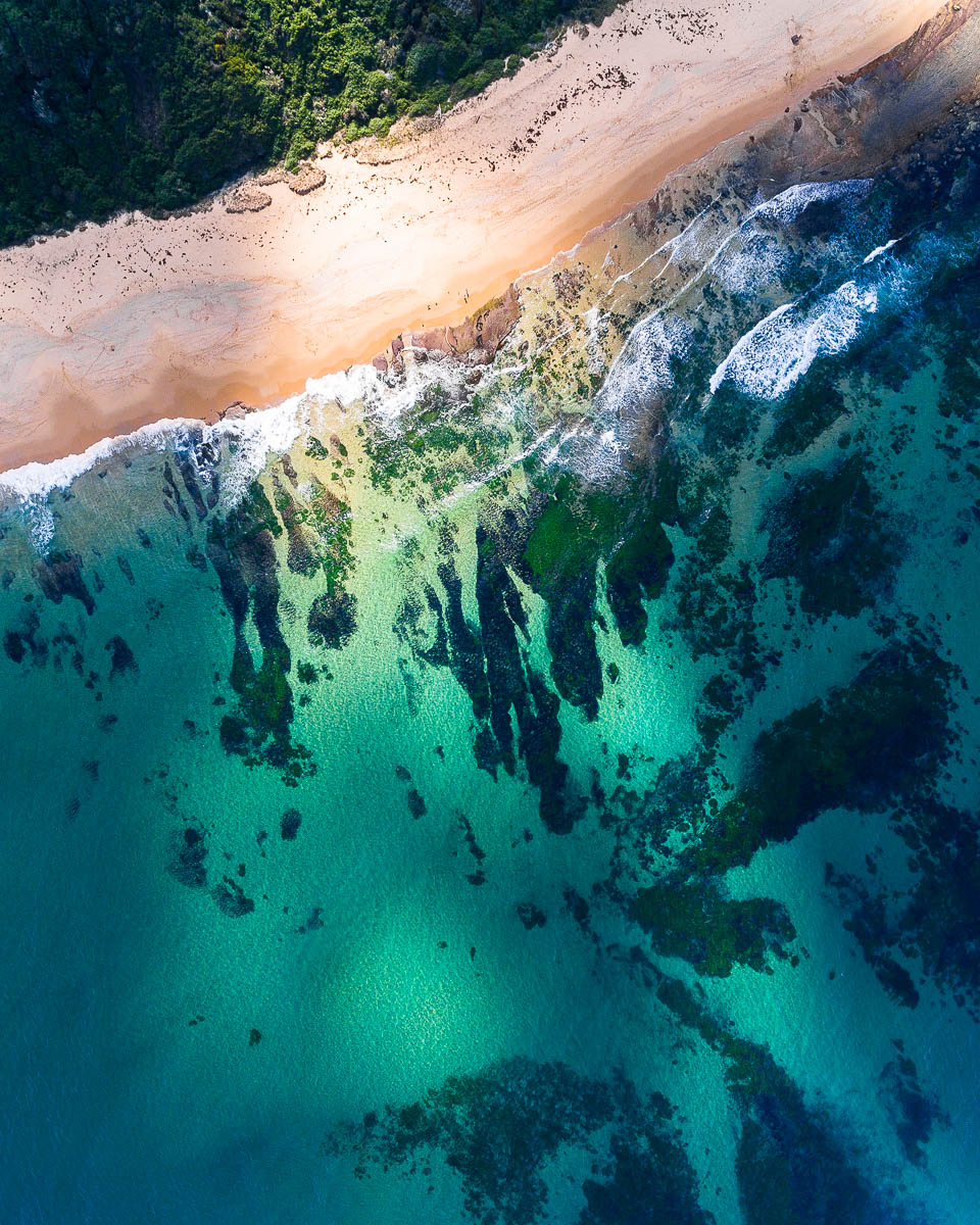Forresters Beach-DJI_0082-2000 x 2500