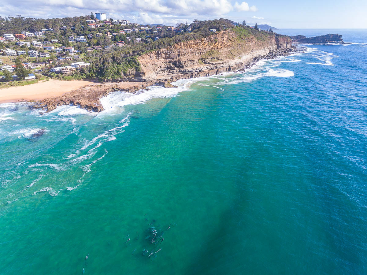 North Avoca Beach, NSW - Central Coast Drones