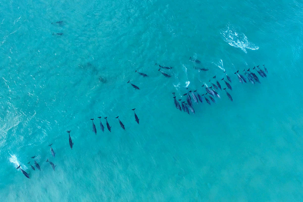 Sandbar-Screen Shot 2017-05-28 at 6.06.09 PM-2427 x 1618