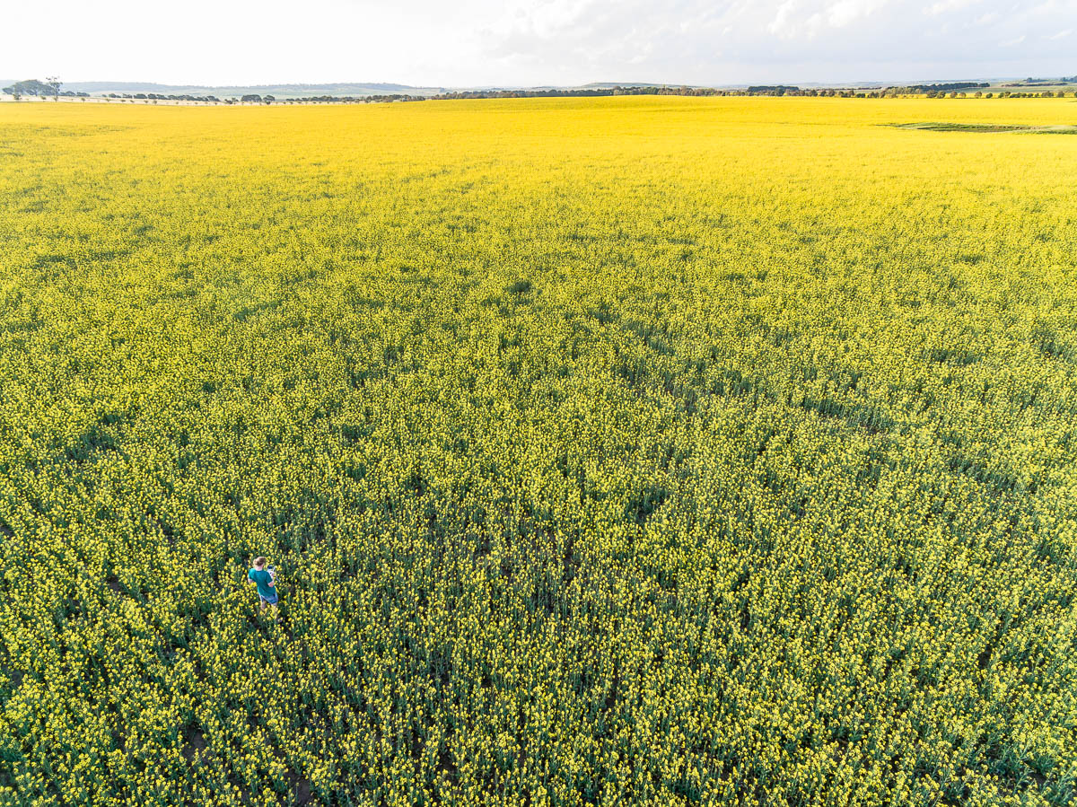South Coast-DJI_0041-3000 x 2248