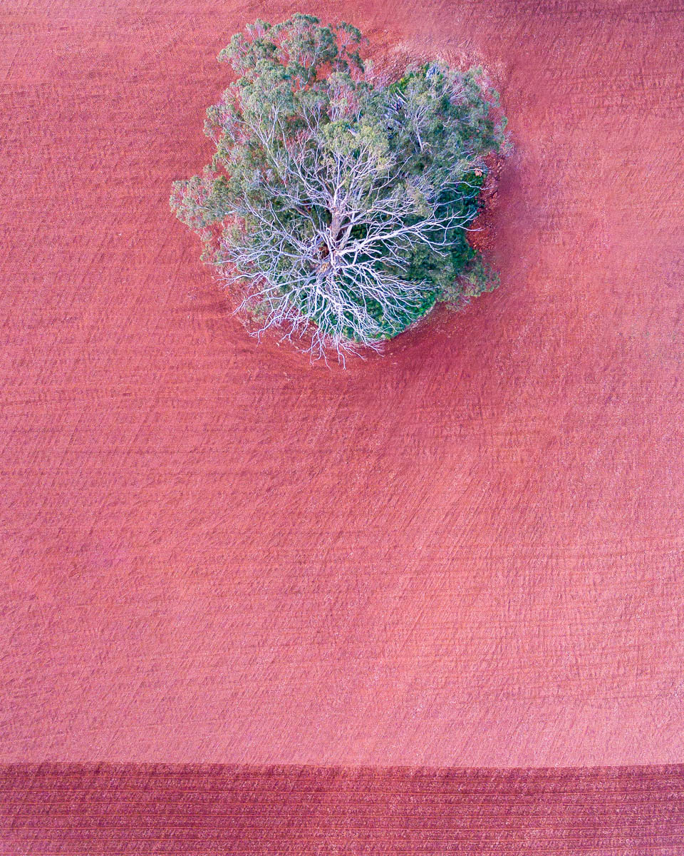 South Coast-DJI_0051 1 (1)-2866 x 3583