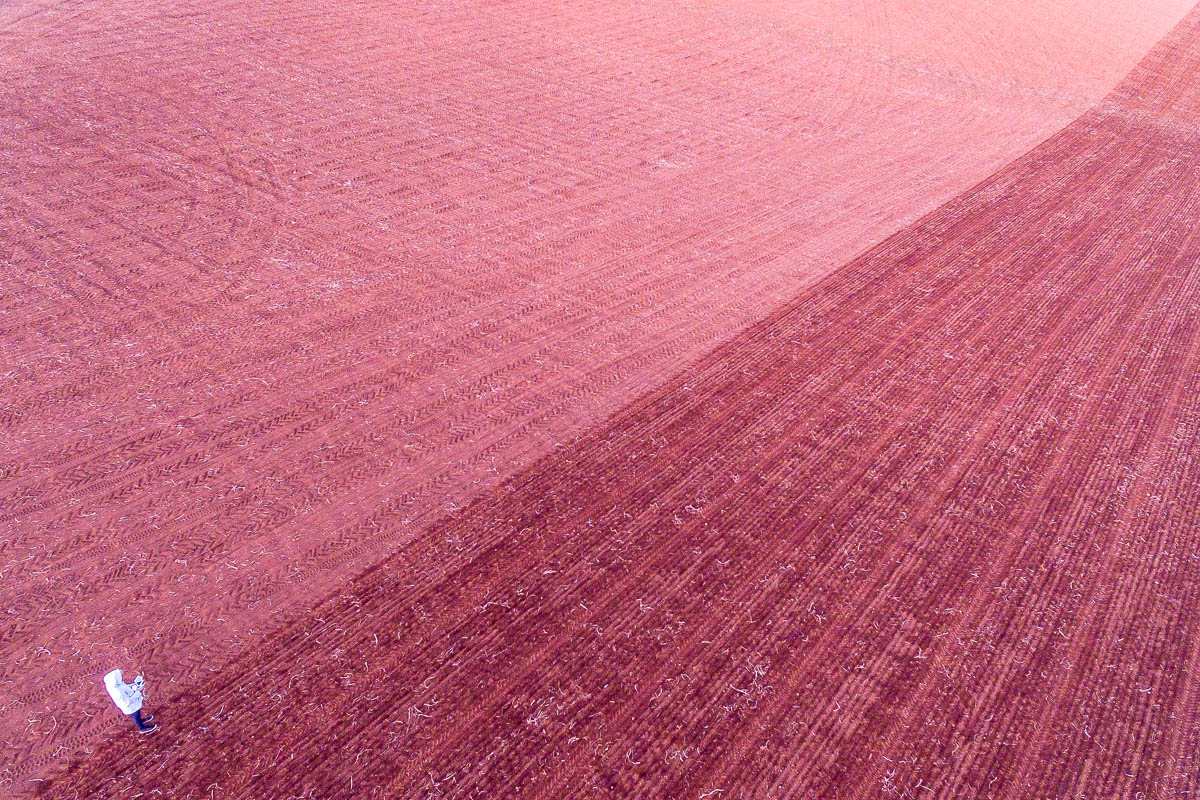 South Coast-DJI_0064 1-3813 x 2542