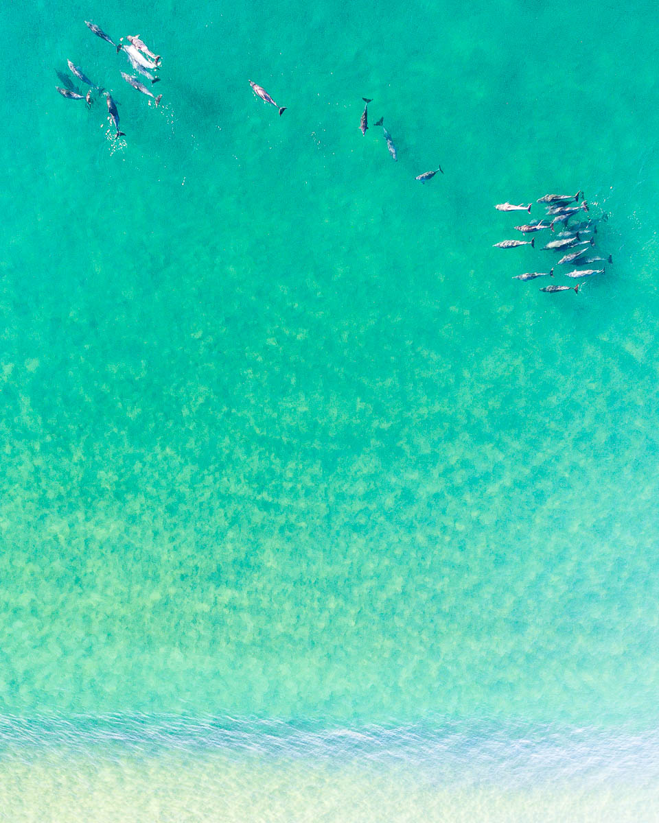 Wamberal Beach-DJI_0102-2285 x 2856