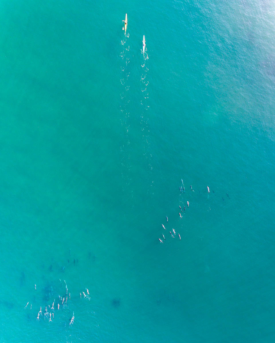 Wamberal Beach-DJI_0118-2400 x 3000