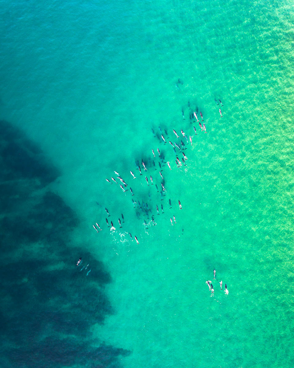 Wamberal Beach-DJI_0146-2400 x 3000