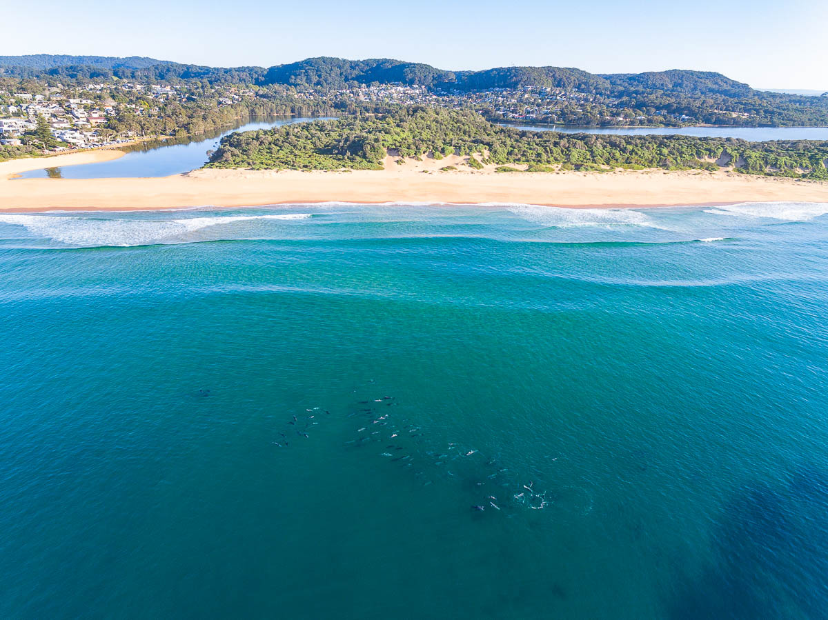 Wamberal Beach-DJI_0148-3000 x 2248