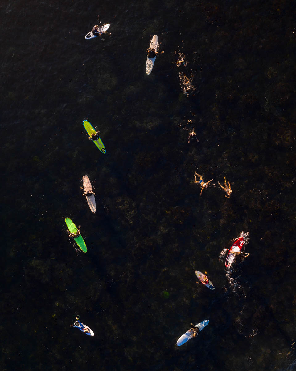 Avoca-DJI_0993_1-960 x 1200