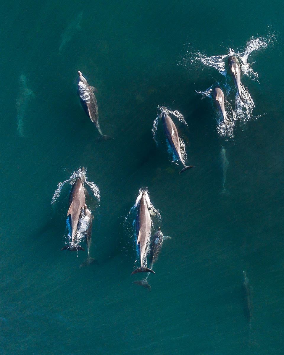 Bateau Bay-DJI_0082-960 x 1200