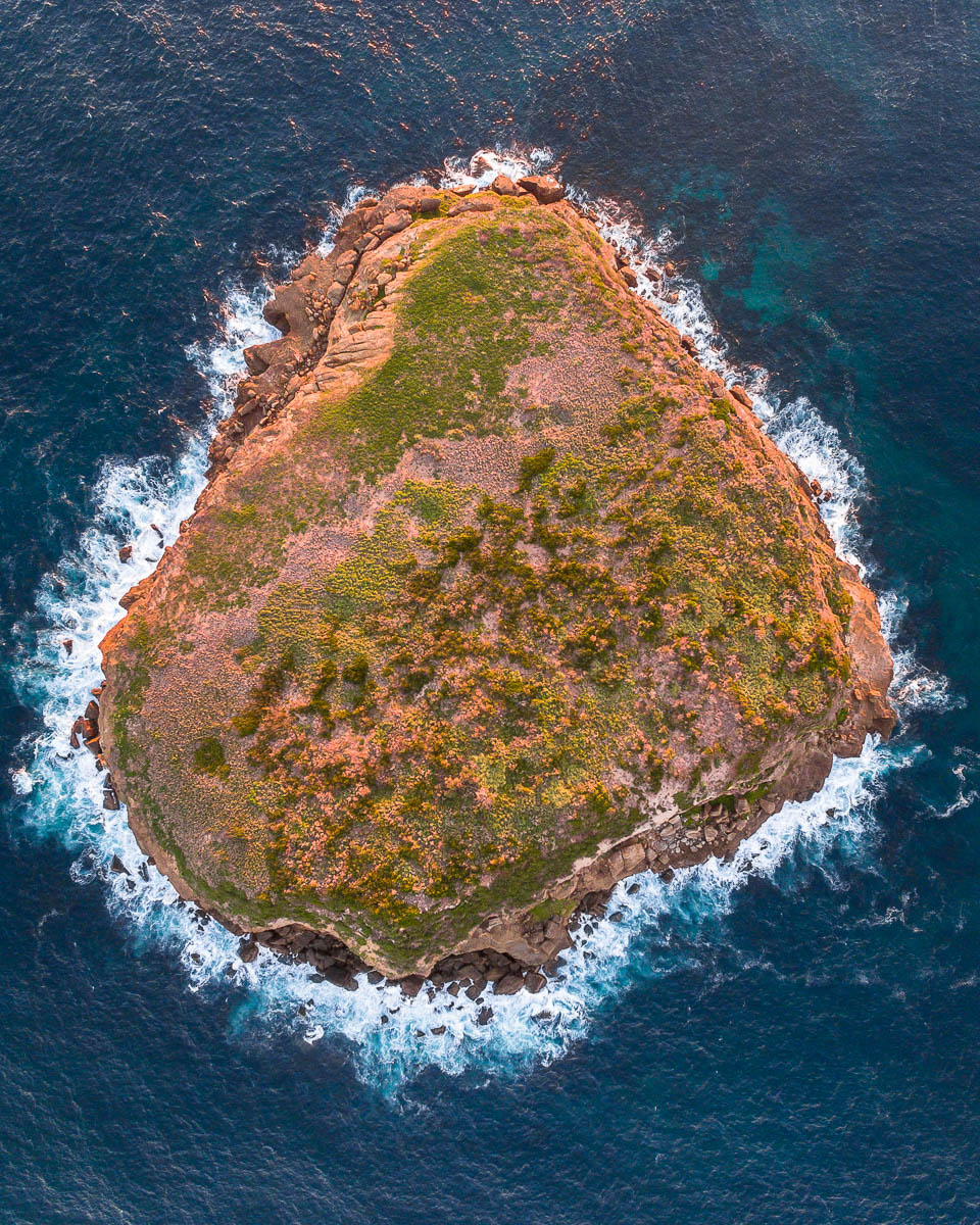 Birdie, Budgewoi & Lakes Beach-DJI_0027 1Birdie_1-960 x 1200