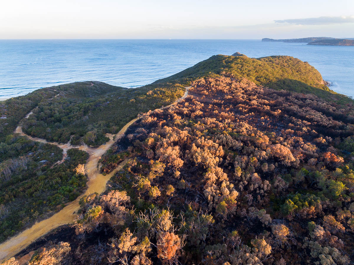 Bouddi-DJI_0044 1-1200 x 899