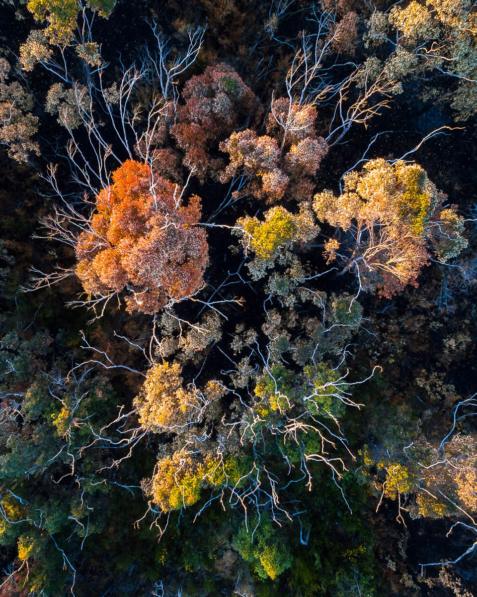 Bouddi-DJI_0047 3-960 x 1200
