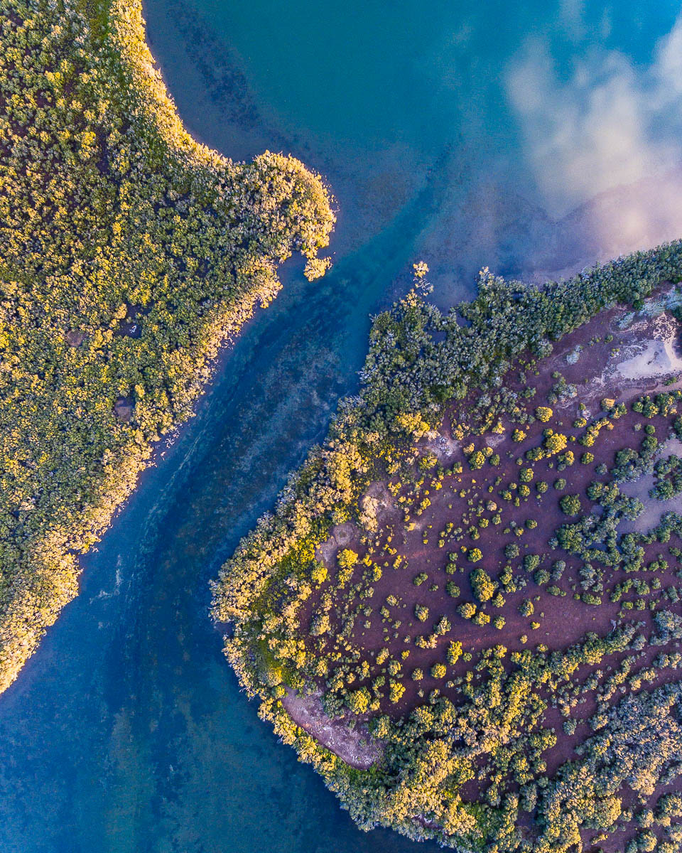 Brisbane Water-DJI_0011 1 (3)-960 x 1200