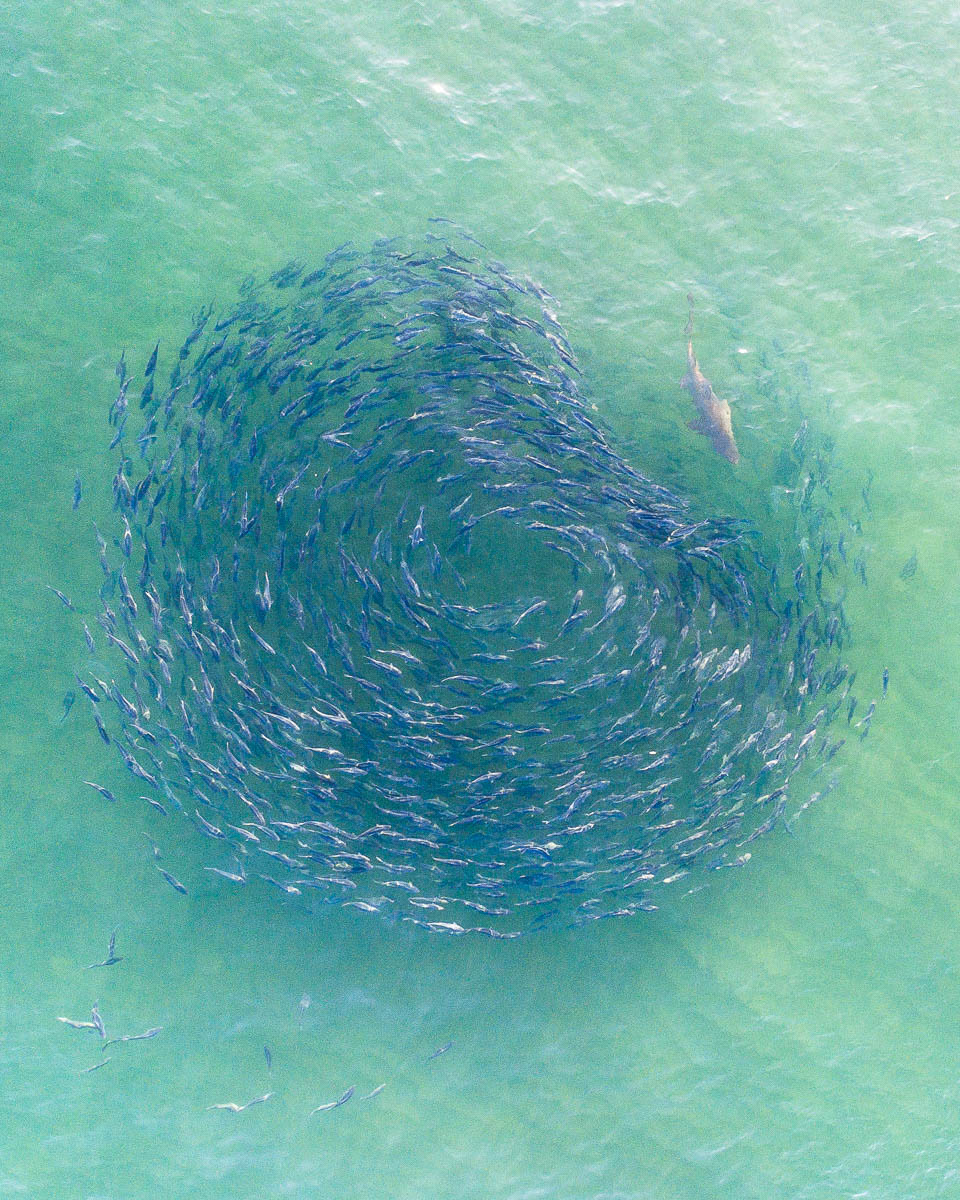 Copacabana Beach-DJI_0013 5-960 x 1200