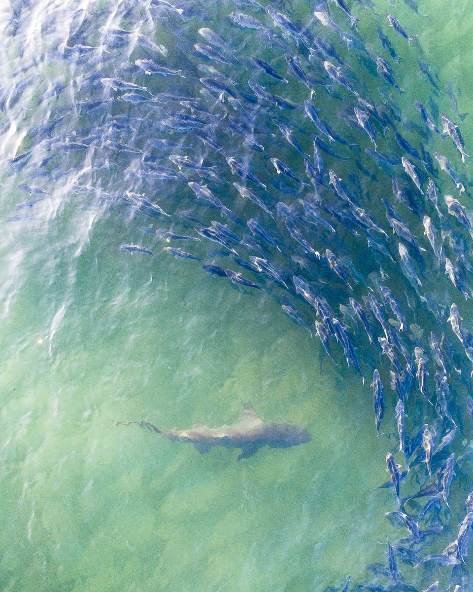 Copacabana Beach-DJI_0024 copa-960 x 1200