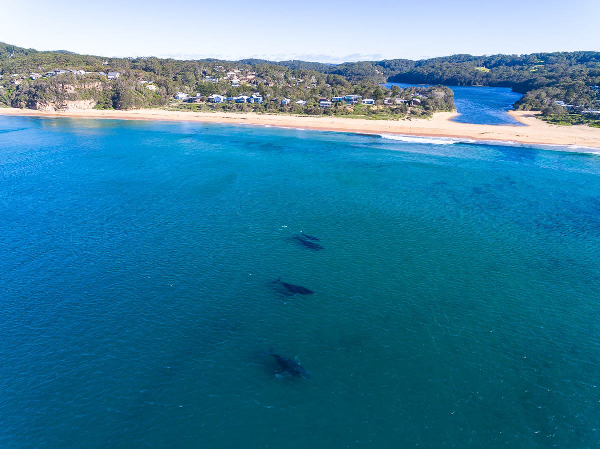 Copacabana Beach-DJI_0101Macs-1200 x 899