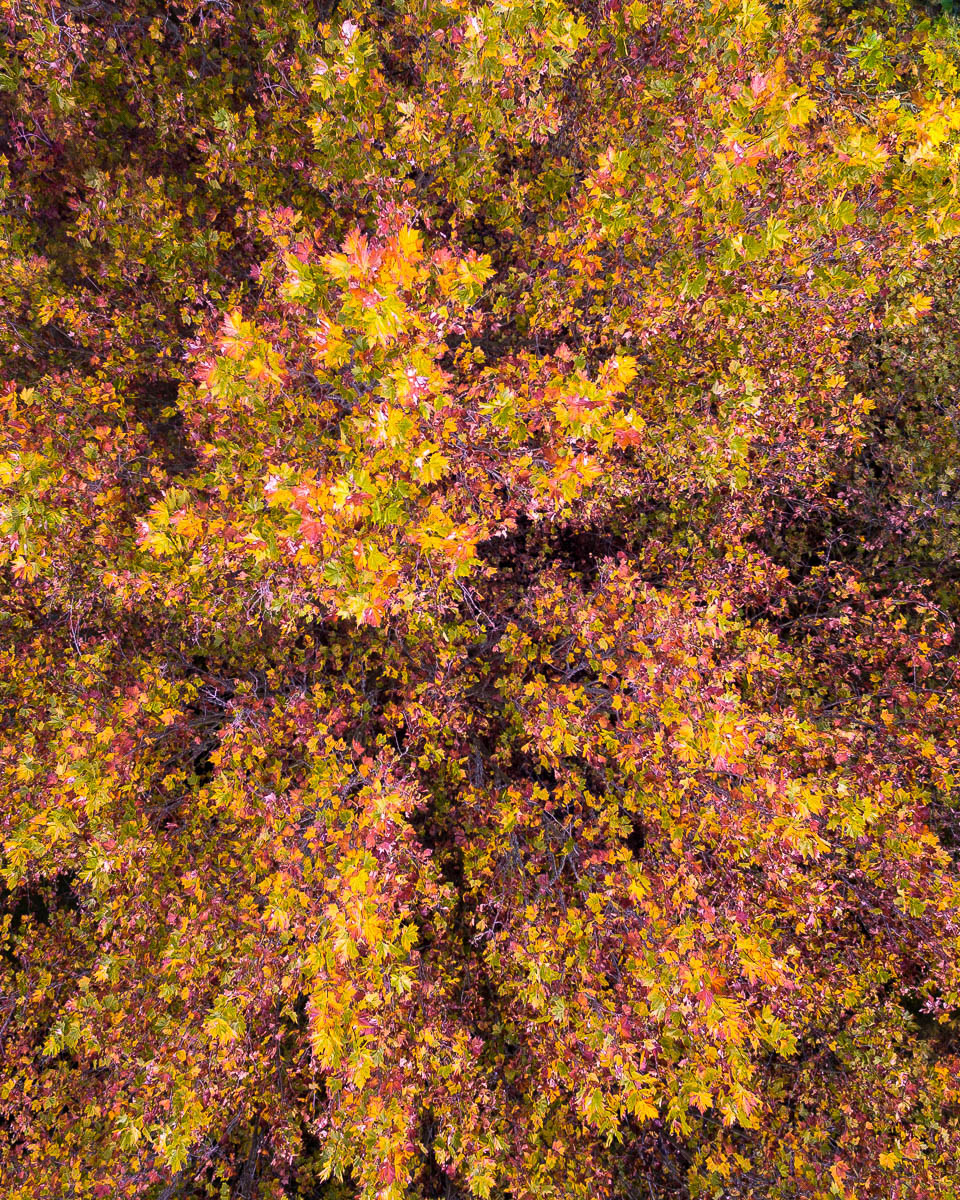 Hawkesbury & Hinterland-DJI_0008 2-960 x 1200