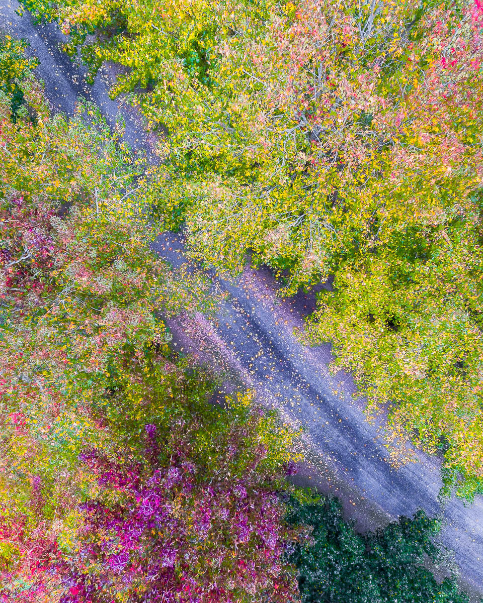 Hawkesbury & Hinterland-DJI_0016-960 x 1200