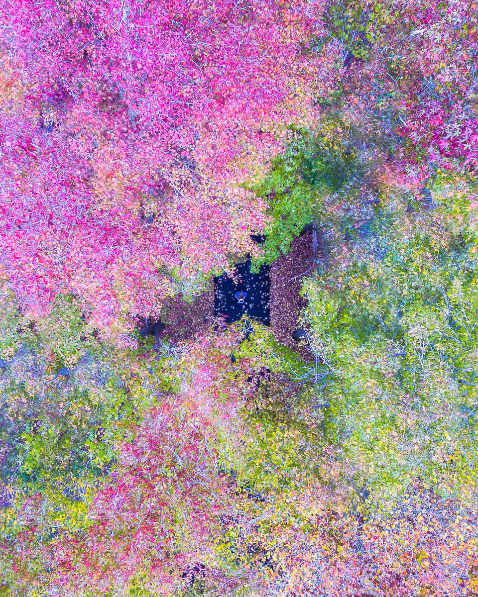 Hawkesbury & Hinterland-DJI_0052 2-960 x 1200