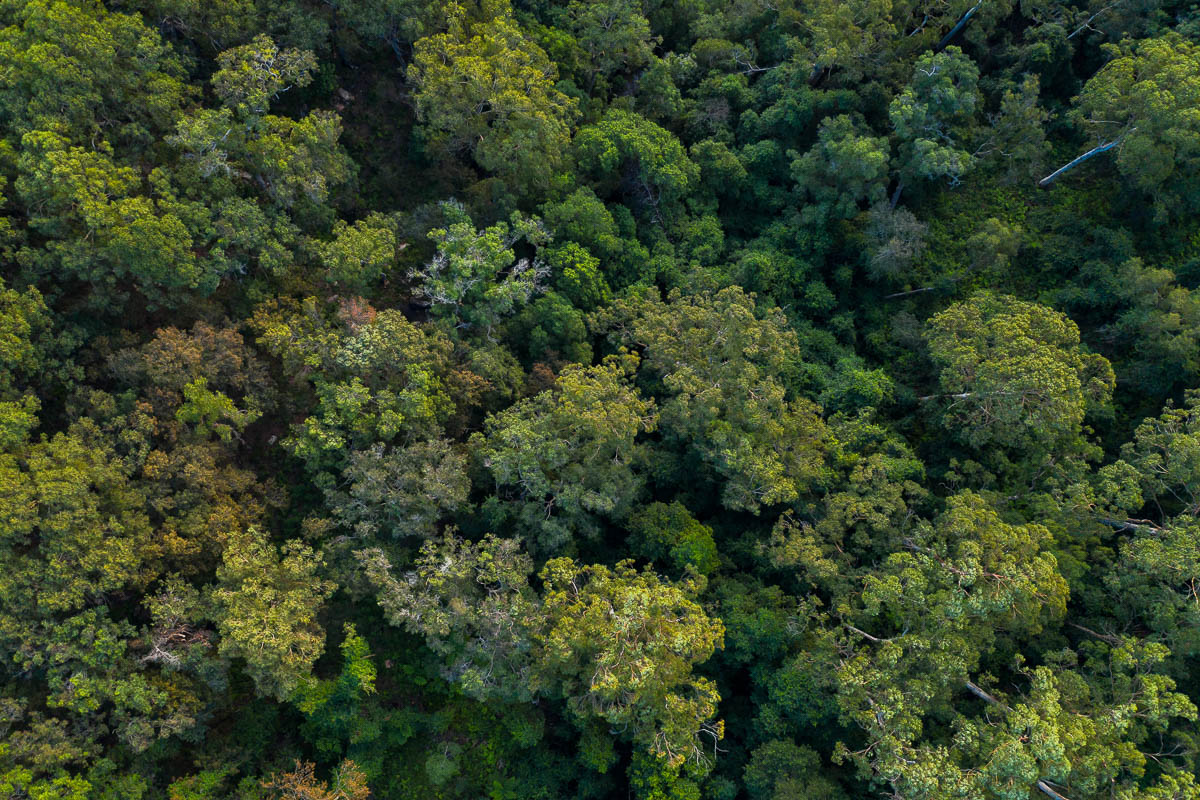 Hawkesbury & Hinterland-DJI_0058-1200 x 800