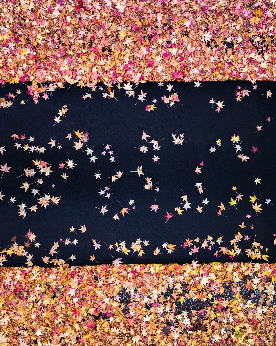 Hawkesbury & Hinterland-DJI_0064 4-960 x 1200