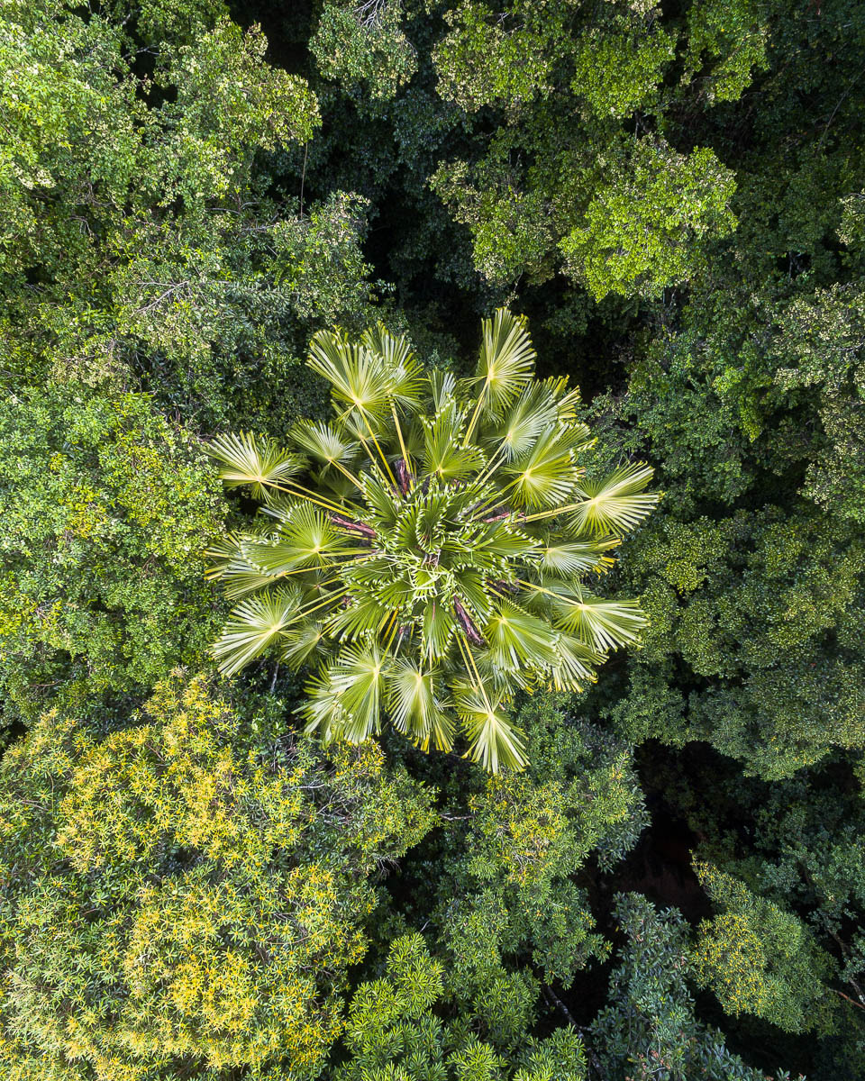 Hawkesbury & Hinterland-DJI_0102 (1)-960 x 1200
