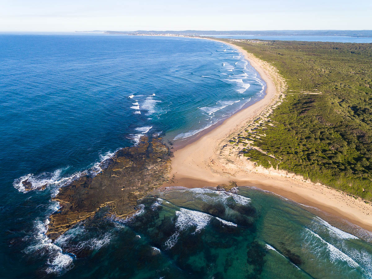 Magenta Shores-DJI_0022Pelicans-1200 x 899