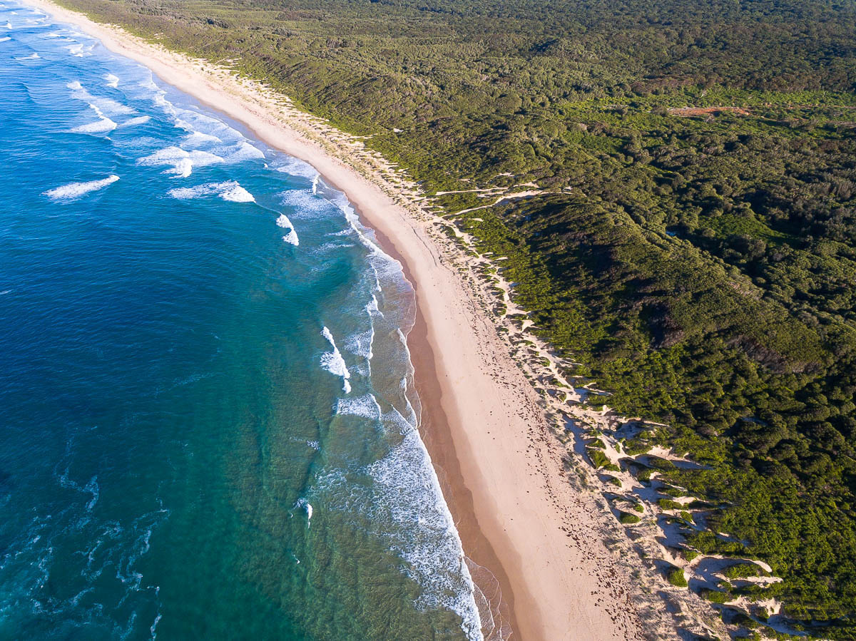 Magenta Shores-DJI_0023Pelicans-1200 x 899