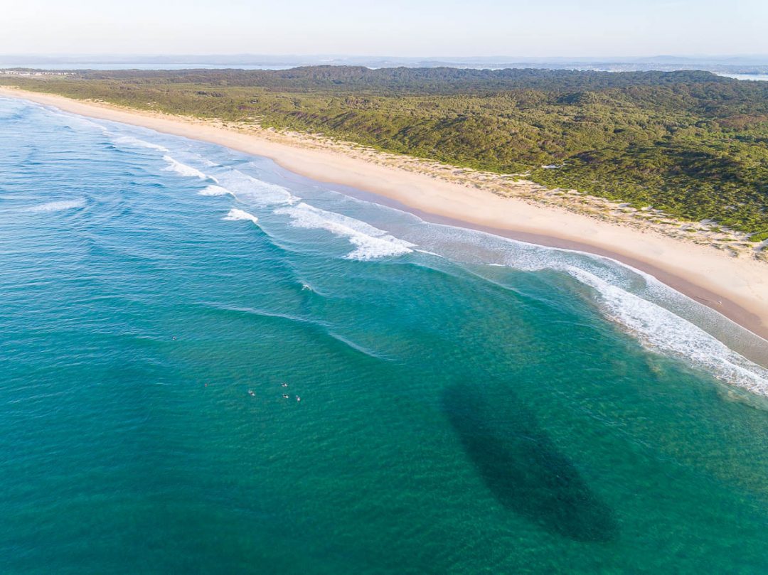 Magenta Shores Archives | Central Coast Drones