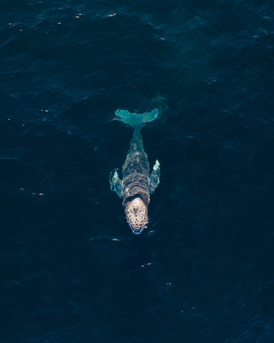 Norah Head-DJI_0664-960 x 1200