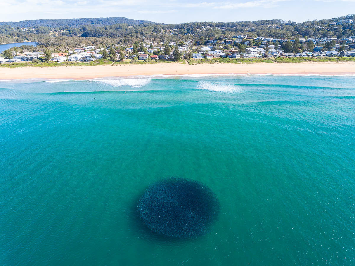 North Avoca Beach-DJI_0022 (2)-1200 x 900