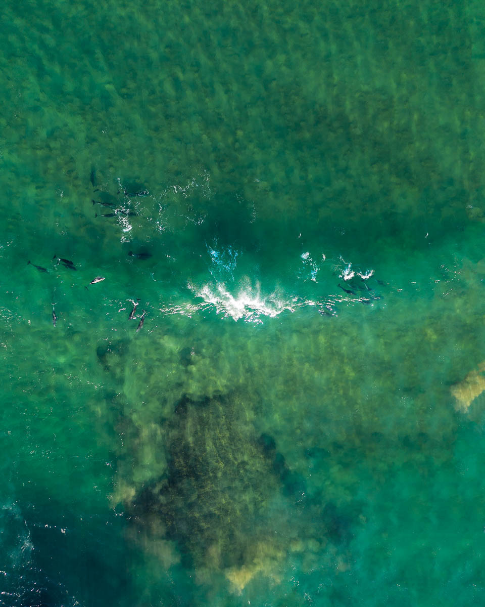 North Avoca Beach-DJI_0213-960 x 1200