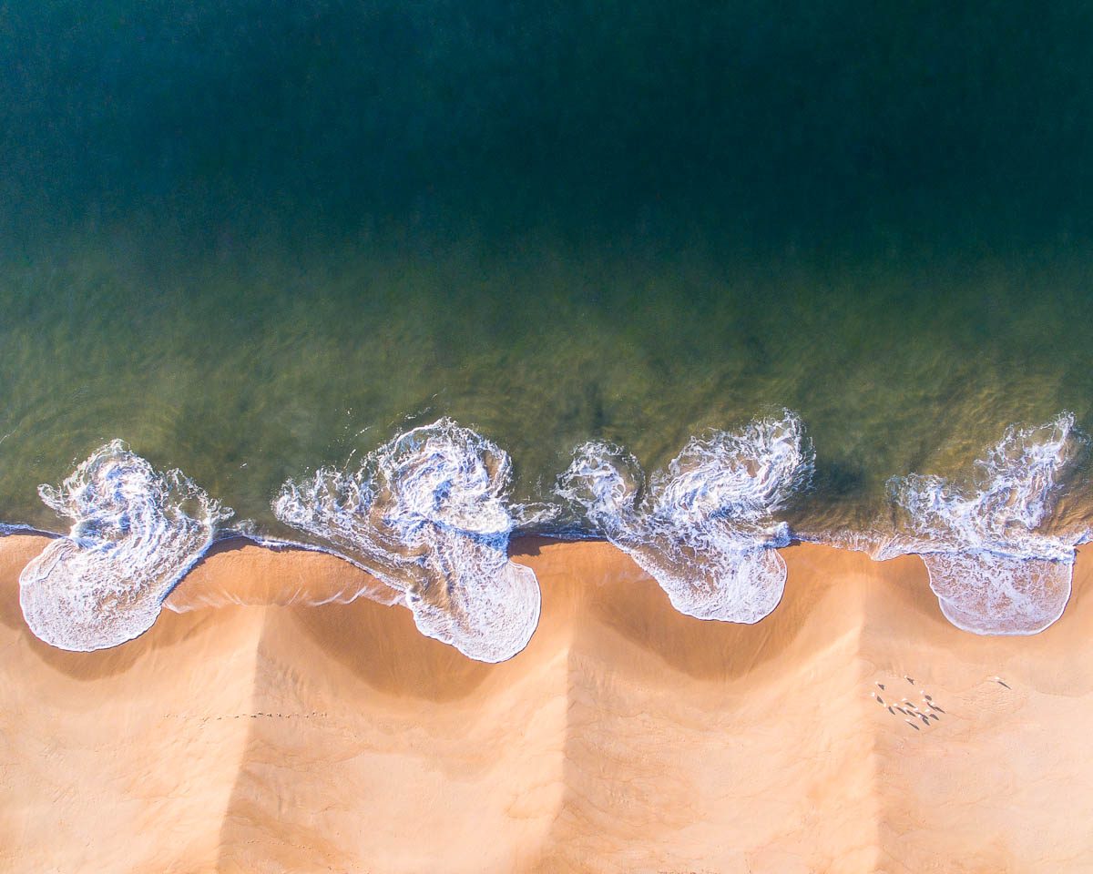 Pearl Beach-DJI_0132Pearl Beach