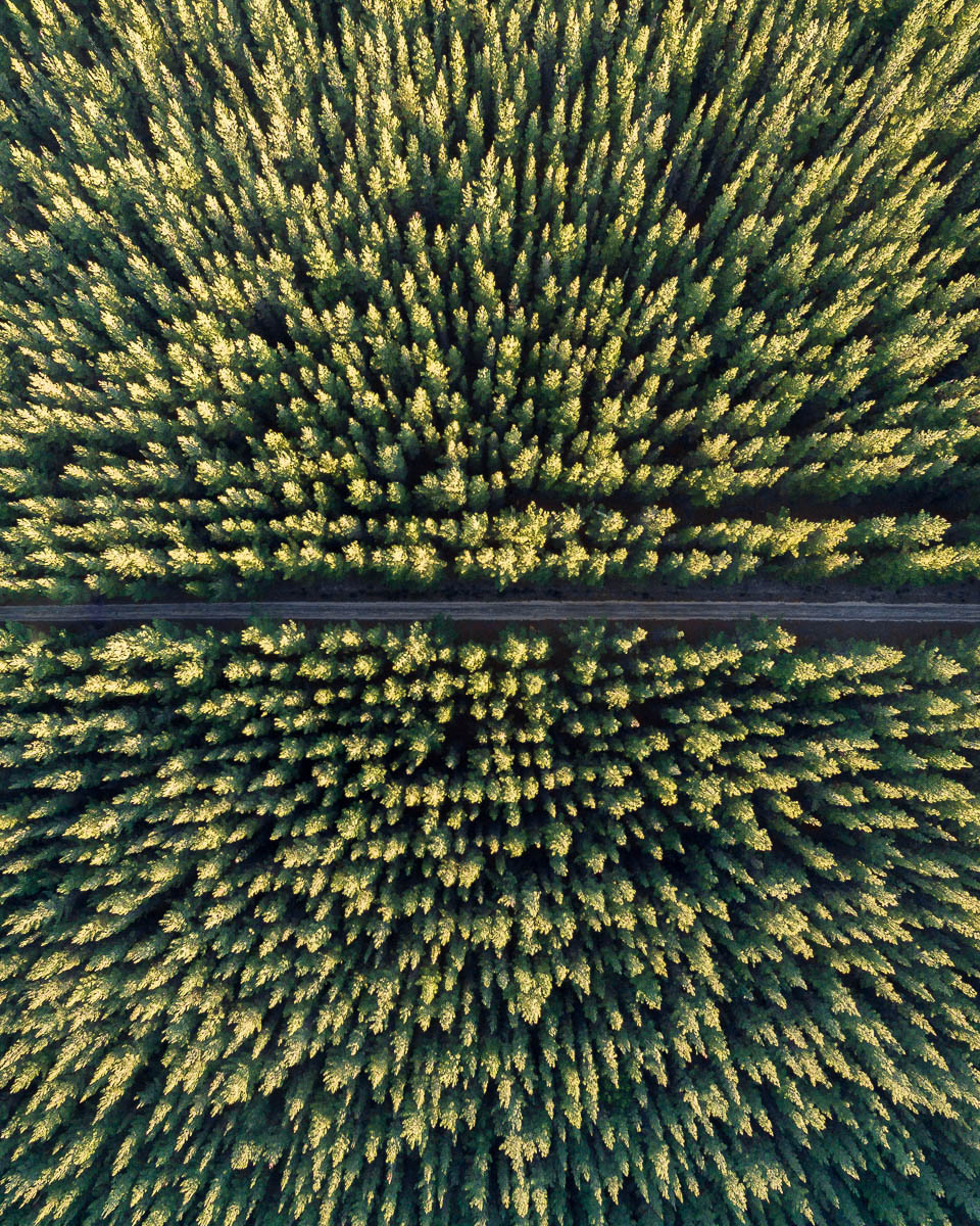 South Coast-DJI_0061 22-960 x 1200