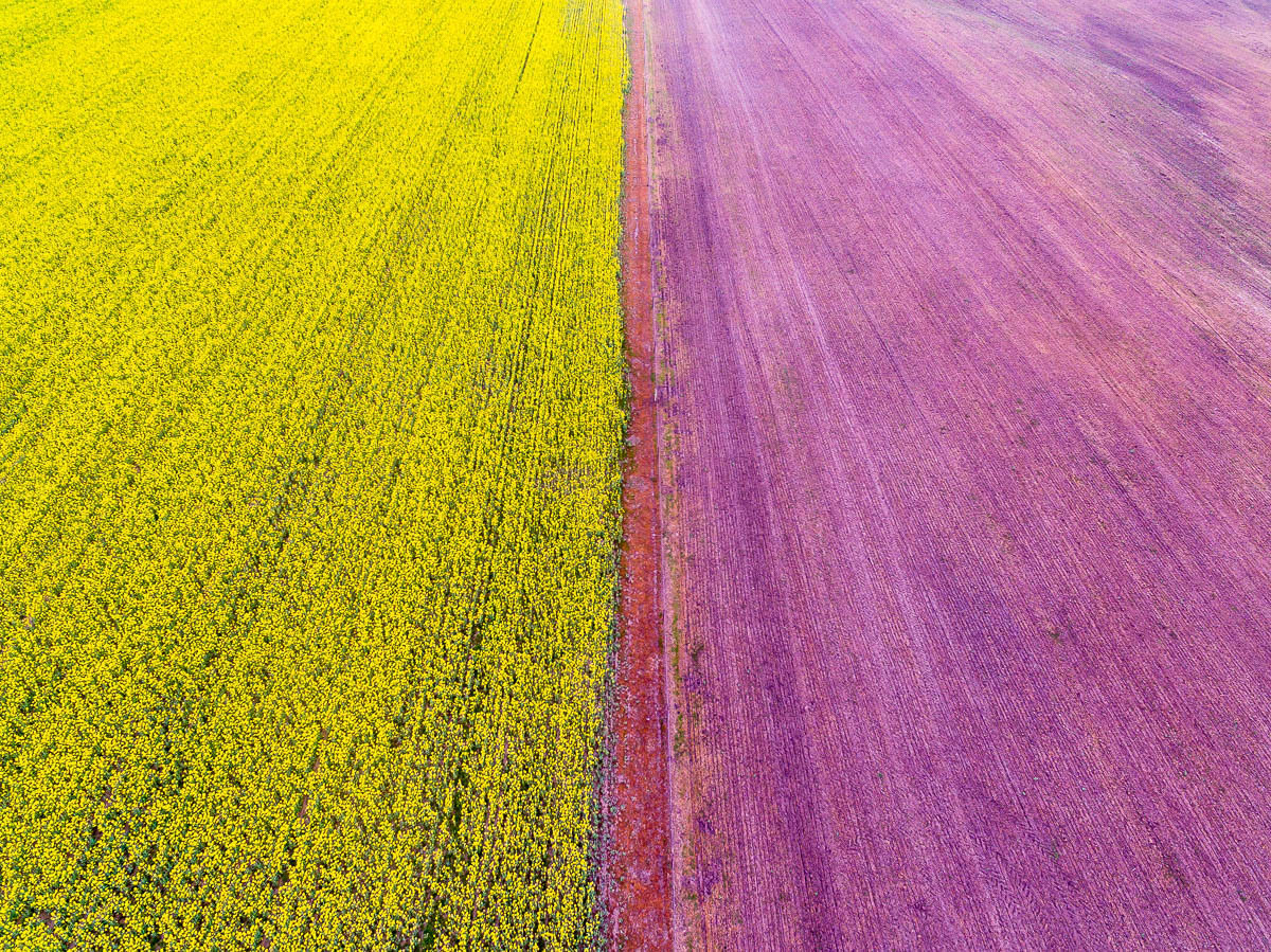 South Coast-DJI_0111 1-1200 x 899