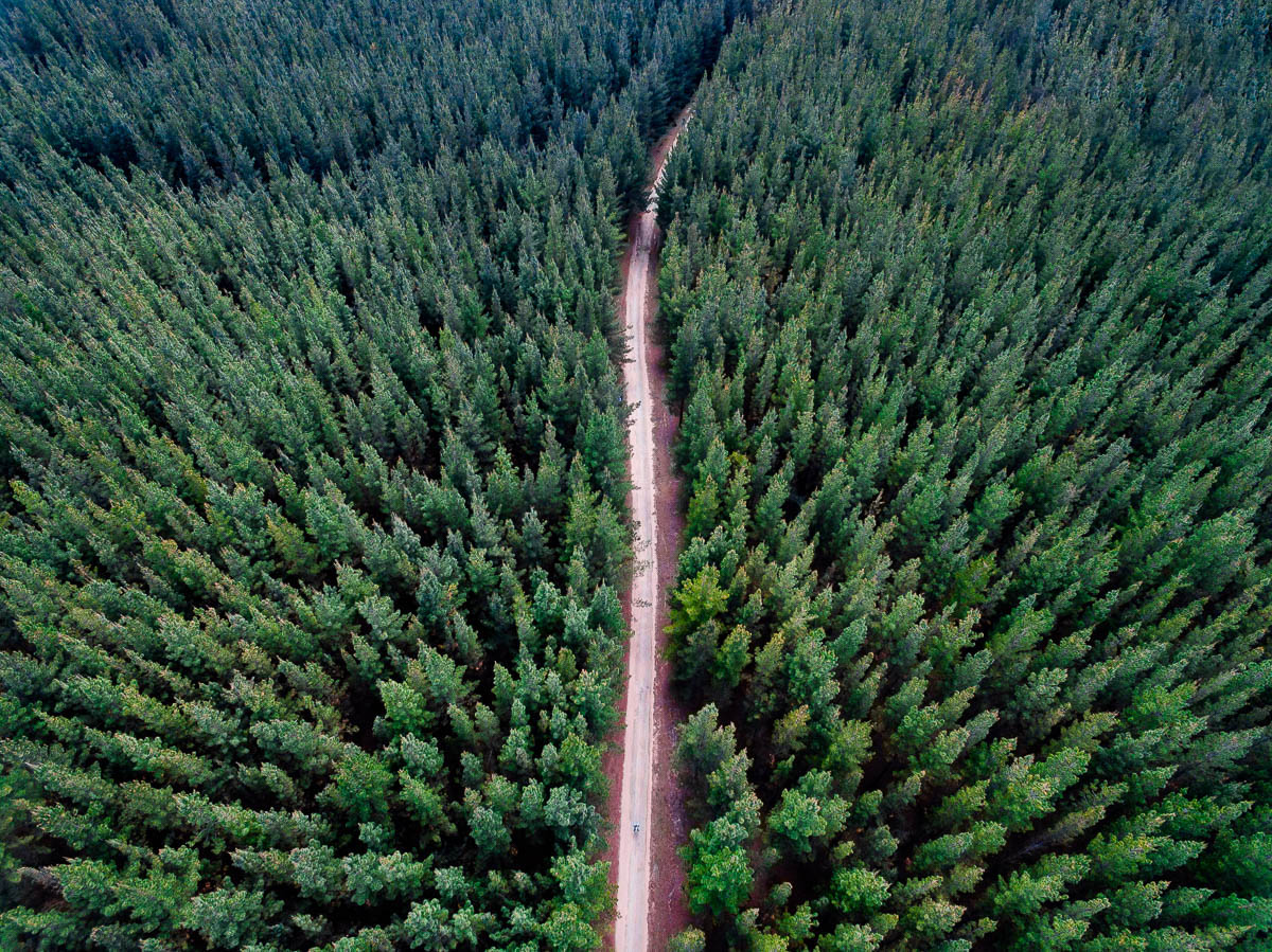 South Coast-DJI_0149_1-1200 x 899