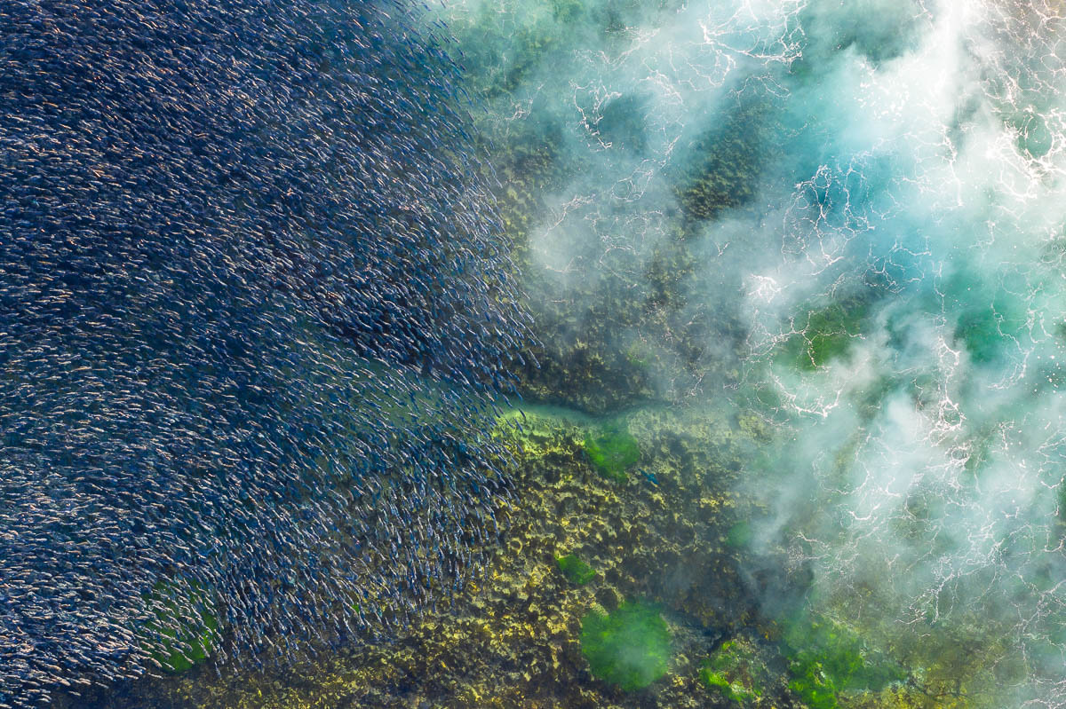 Spoon Bay-DJI_0635-1200 x 799