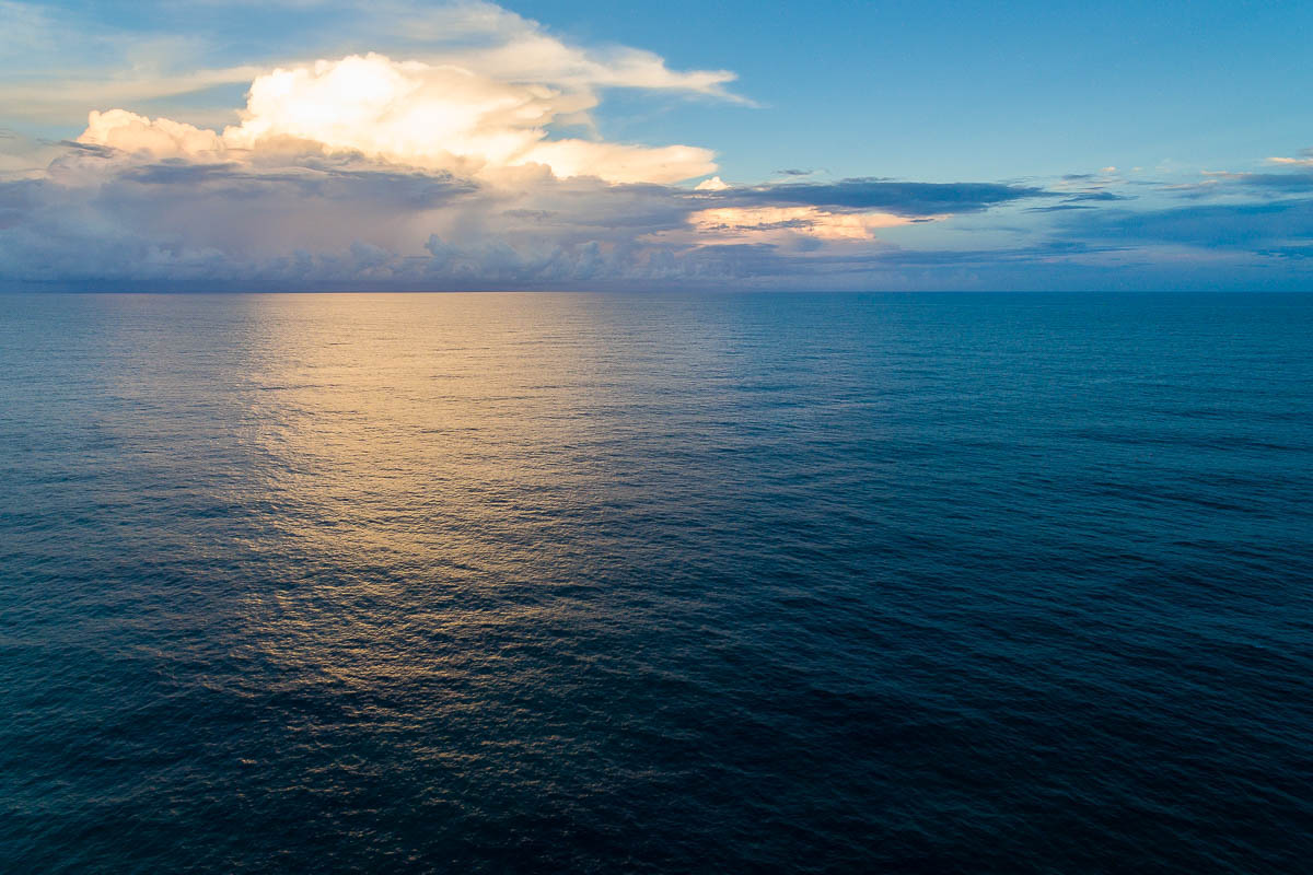 Terrigal Beach-DJI_0036 1-1200 x 800