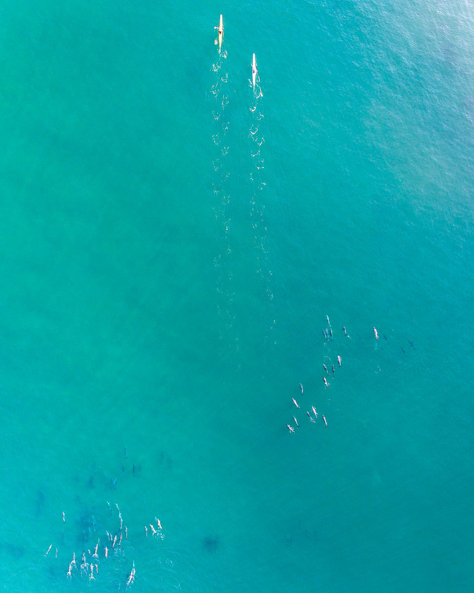 Terrigal-DJI_0118-960 x 1200