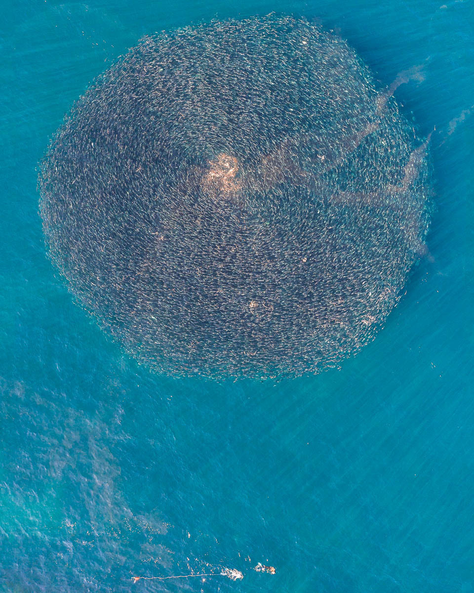 Terrigal-DJI_0942 4-960 x 1200