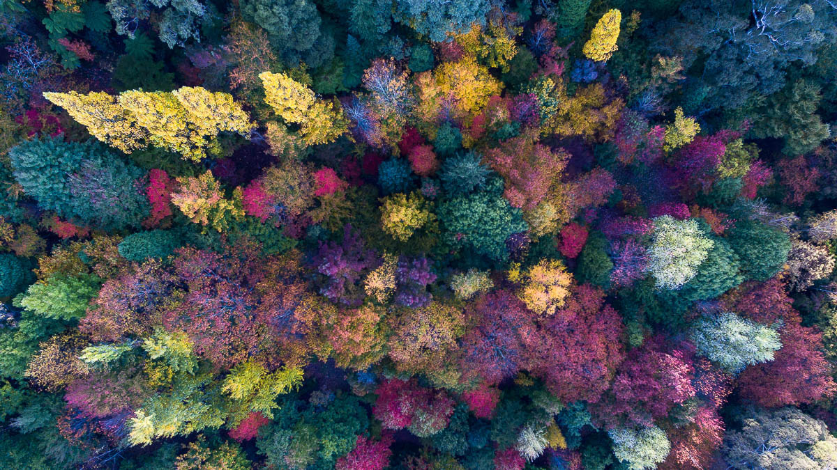 The Blue Mountains-DJI_0112-1200 x 675