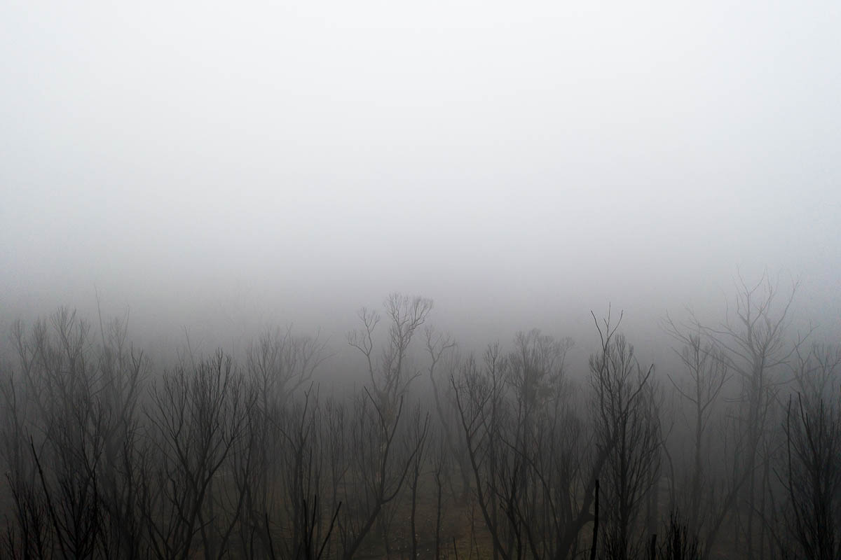 The Blue Mountains-DJI_0997-1200 x 800